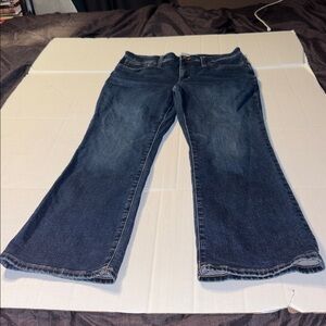 Madewell Mid-Rise Kick Out Jeans size 29